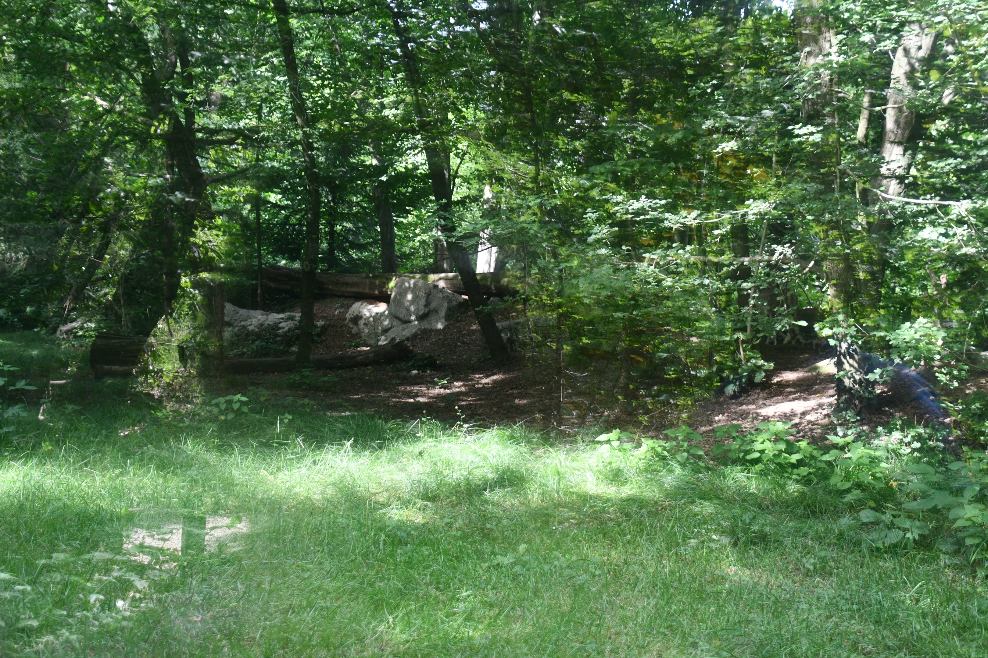 larger of the two Snow Leopard exhibits