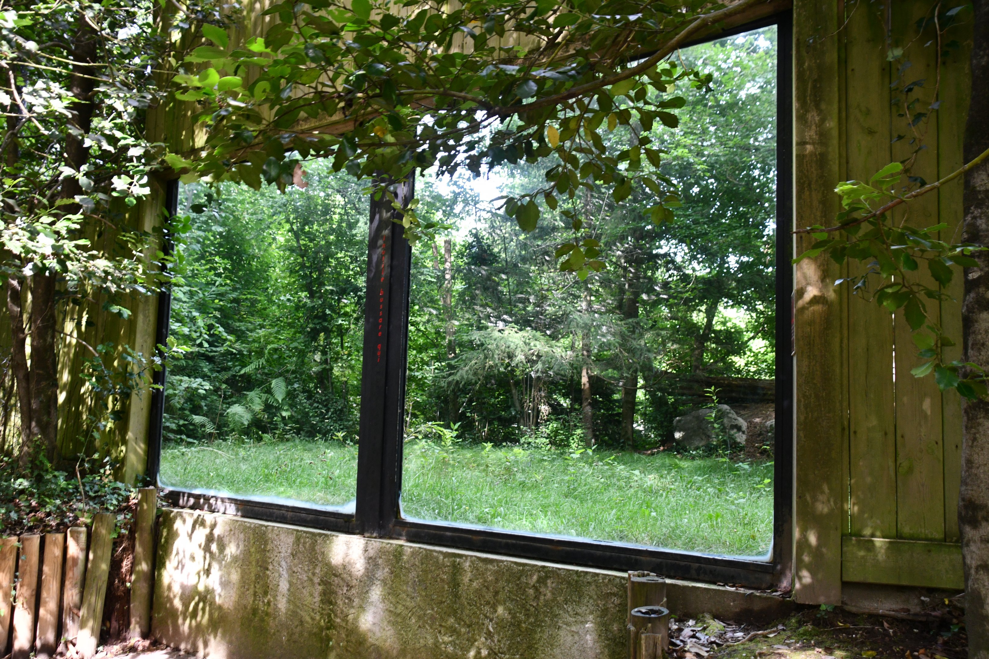 larger of the two Snow Leopard exhibits