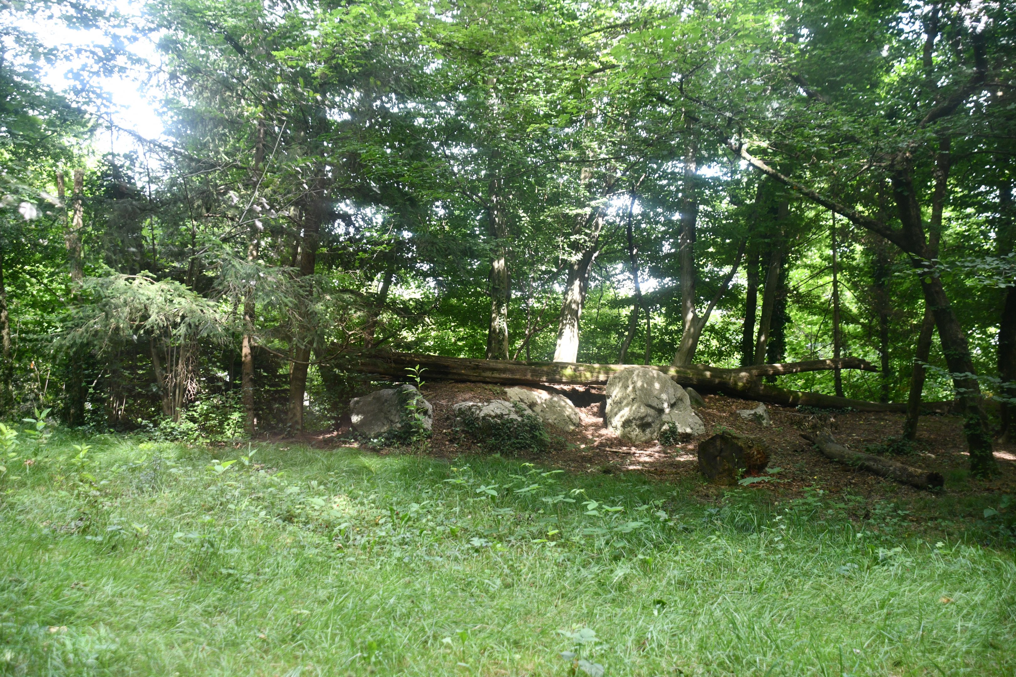 larger of the two Snow Leopard exhibits