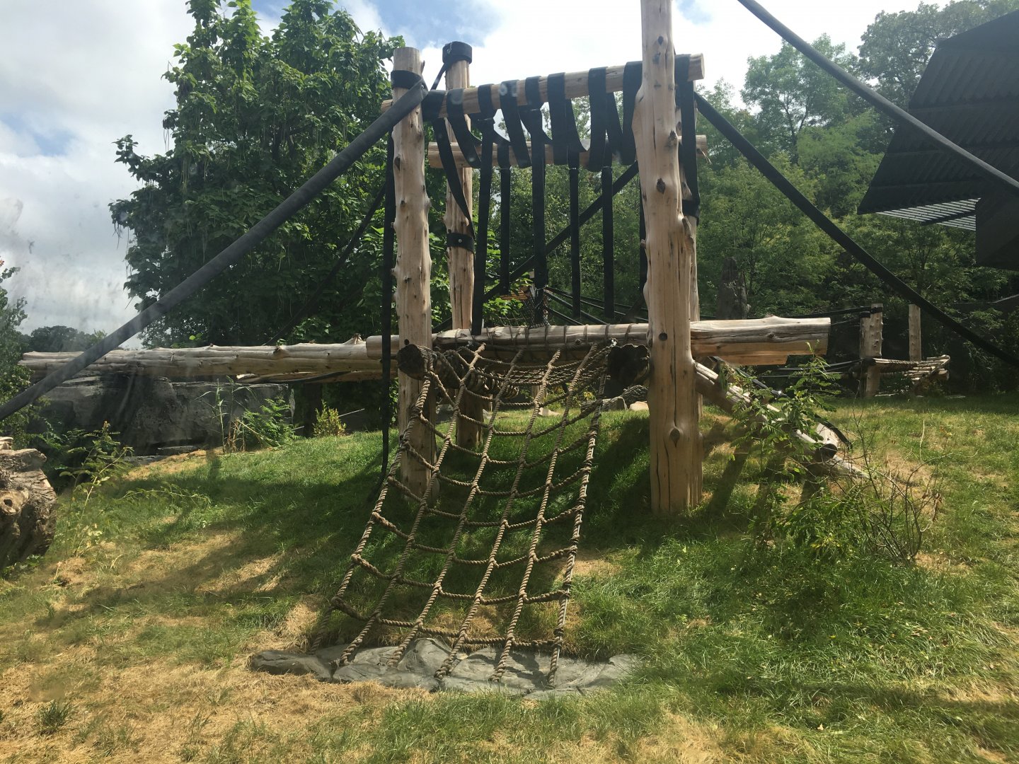 Larger Outdoor Gorilla Yard