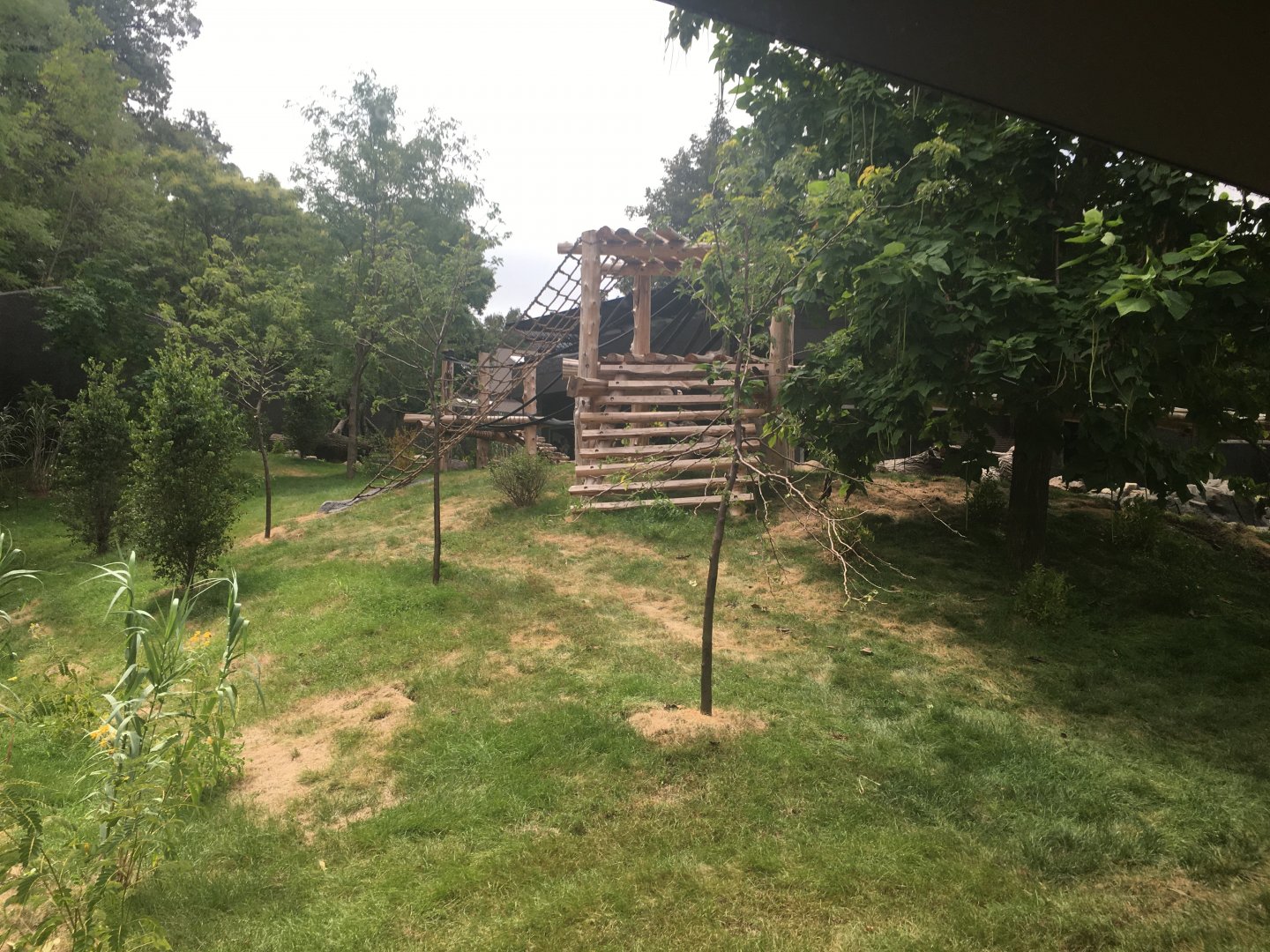 Larger Outdoor Gorilla Yard