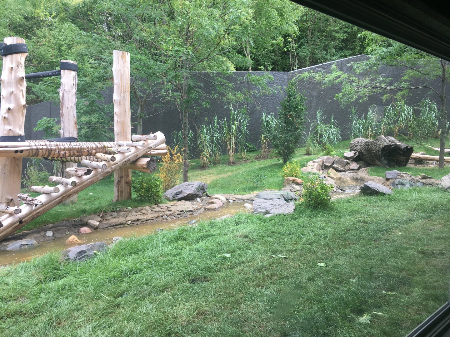 Larger Outdoor Gorilla Yard