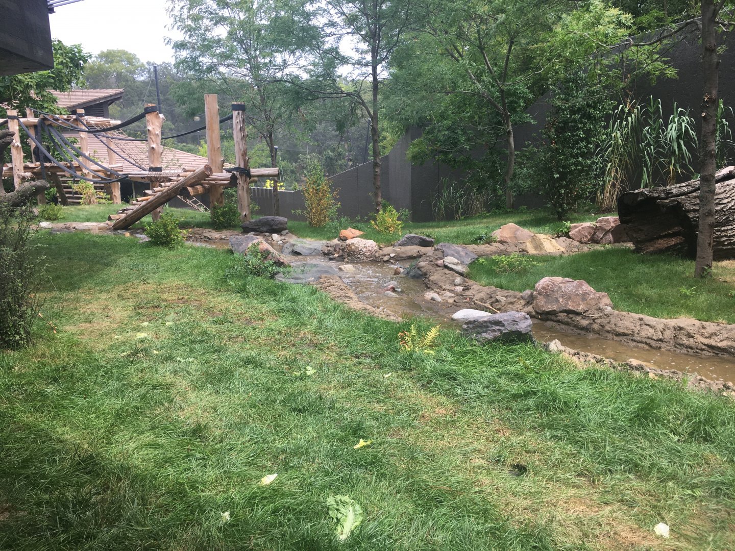 Larger Outdoor Gorilla Yard