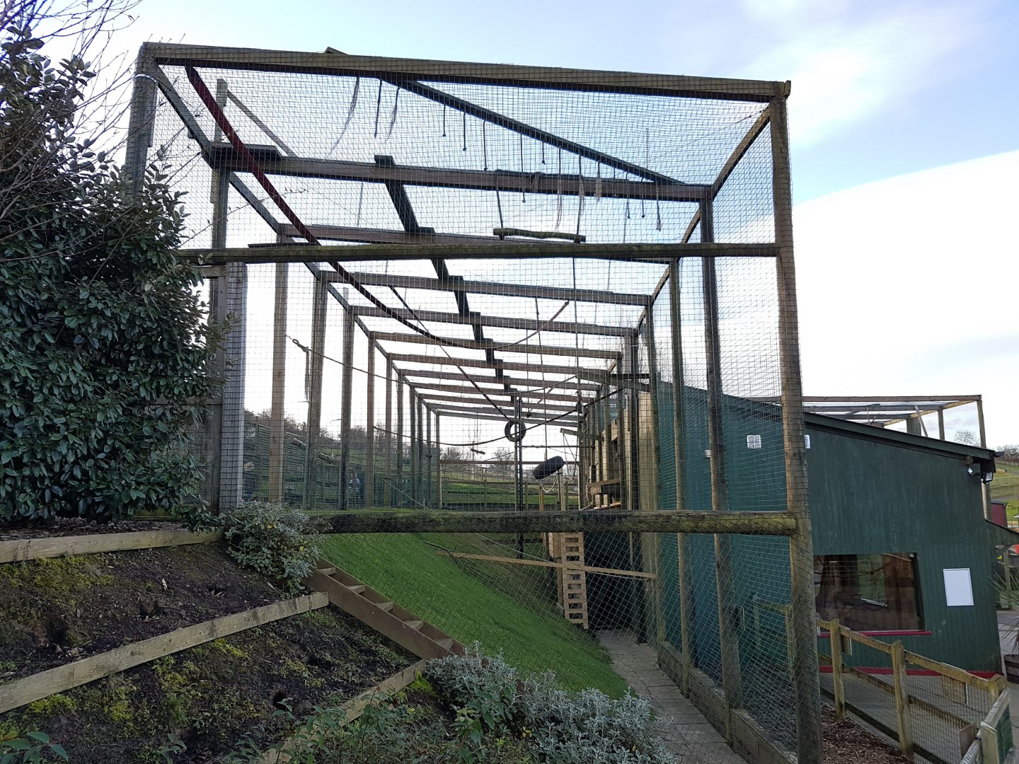 Larger Siamang enclosure - Noahs Ark Zoo Farm