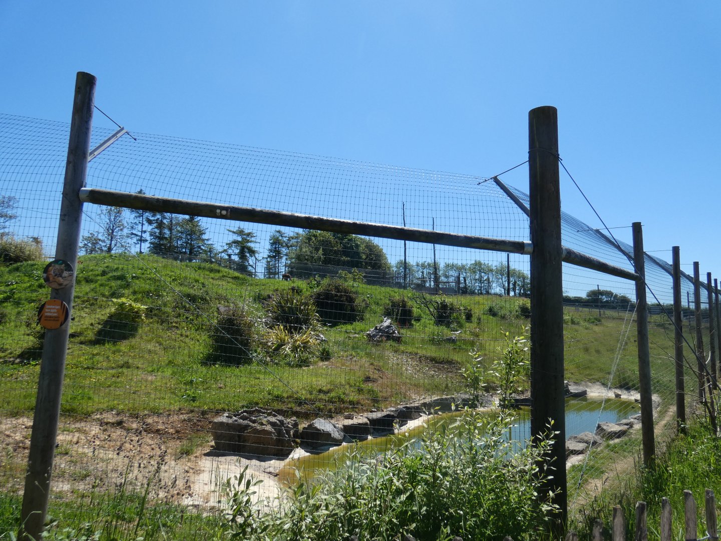 Larger Sumatran tiger enclosure