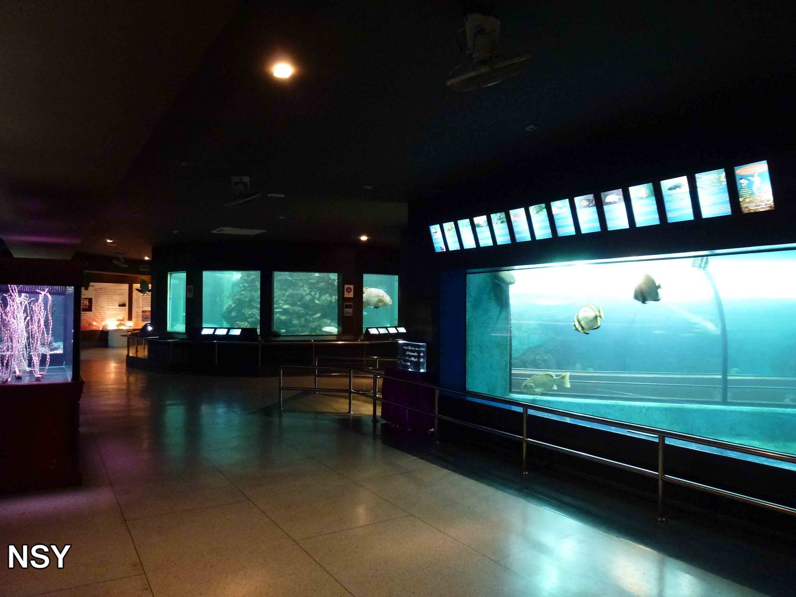 Larger tanks, June 2013.