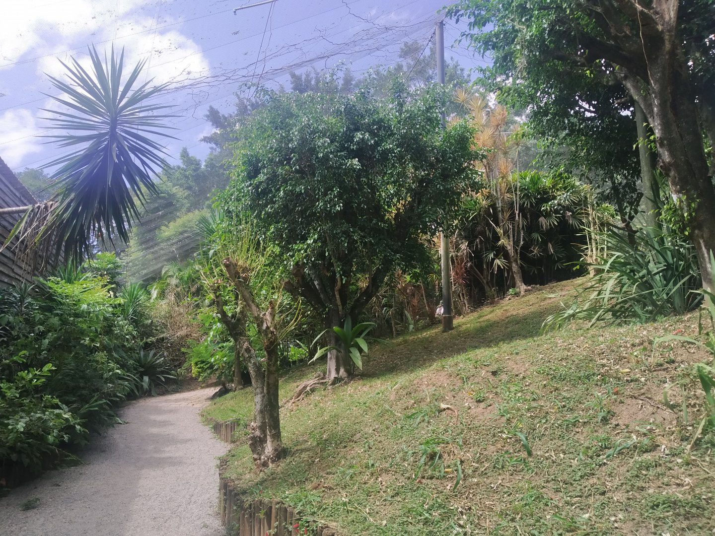 Larger walk-through aviary