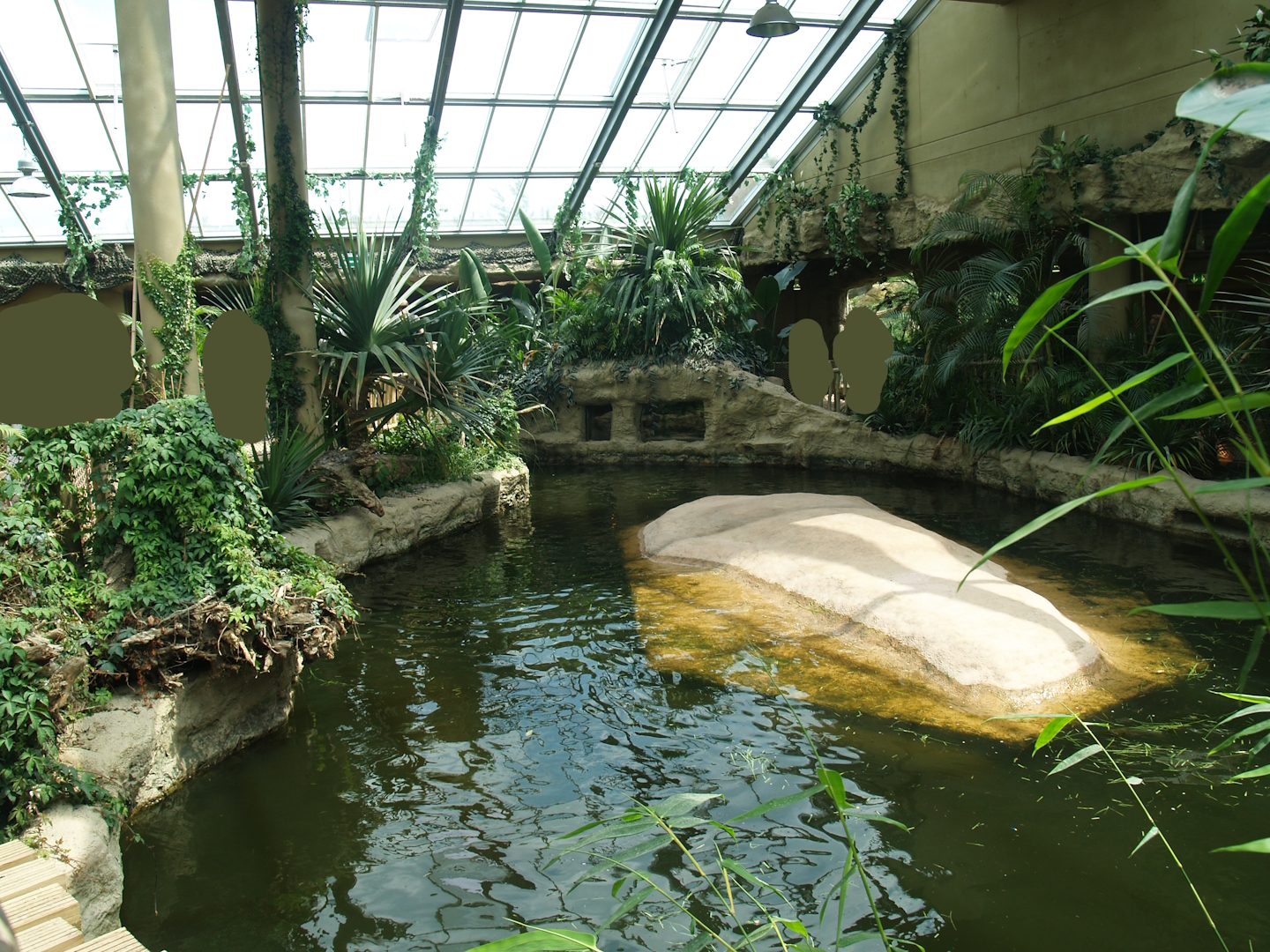 Largest hippopotamus indoor exhibit, 2007-07-15