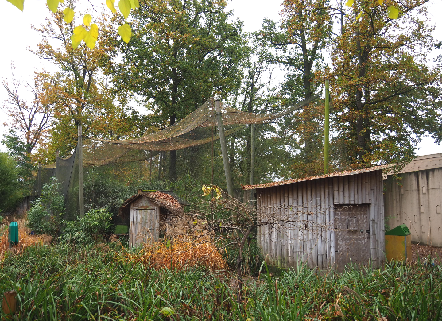Largest mixed Asian aviary, 2021-11-06