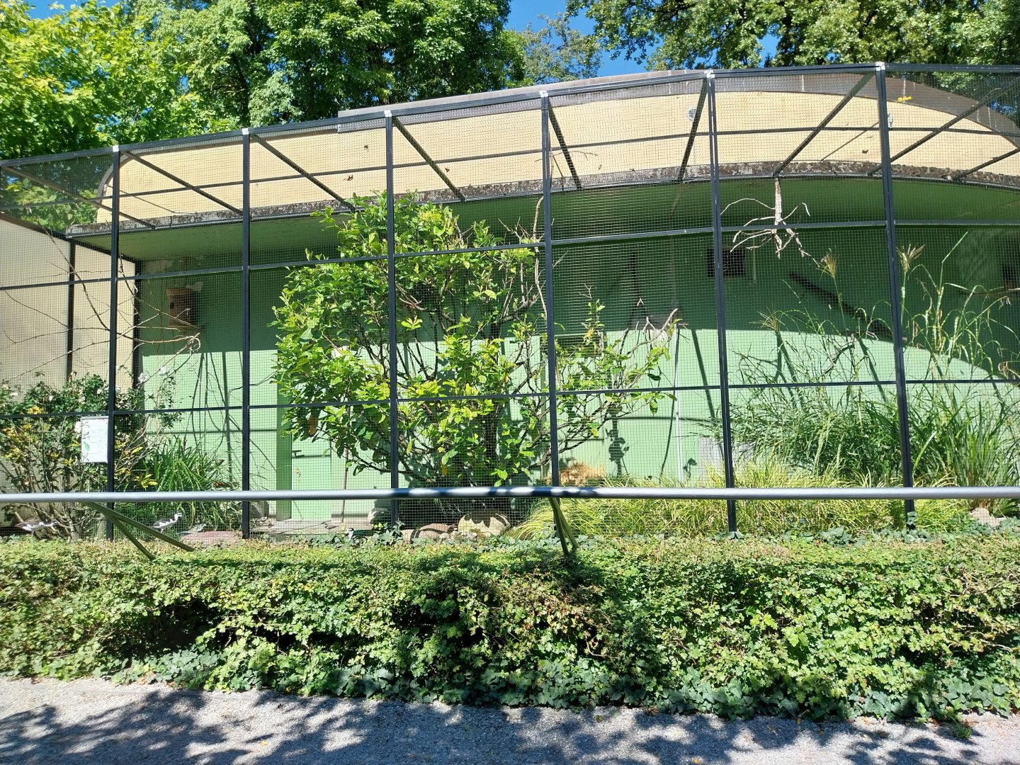 Largest of the outside aviaries