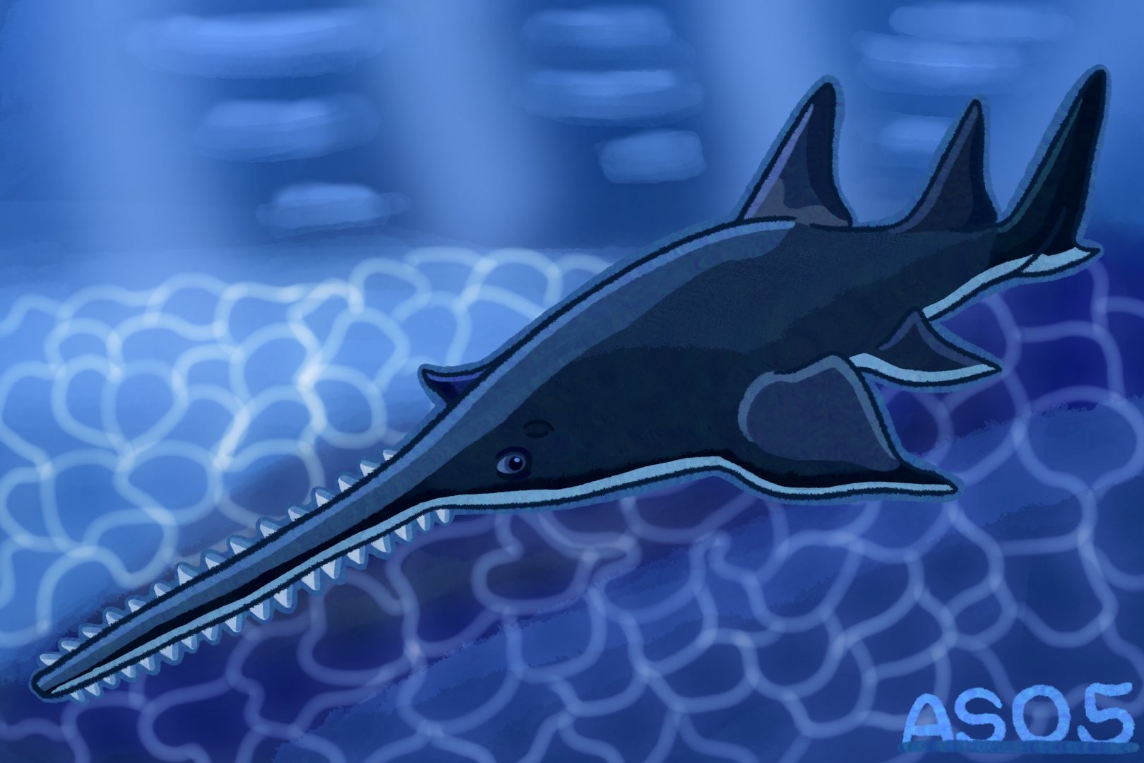 Largetooth Sawfish (2025 Redraw)