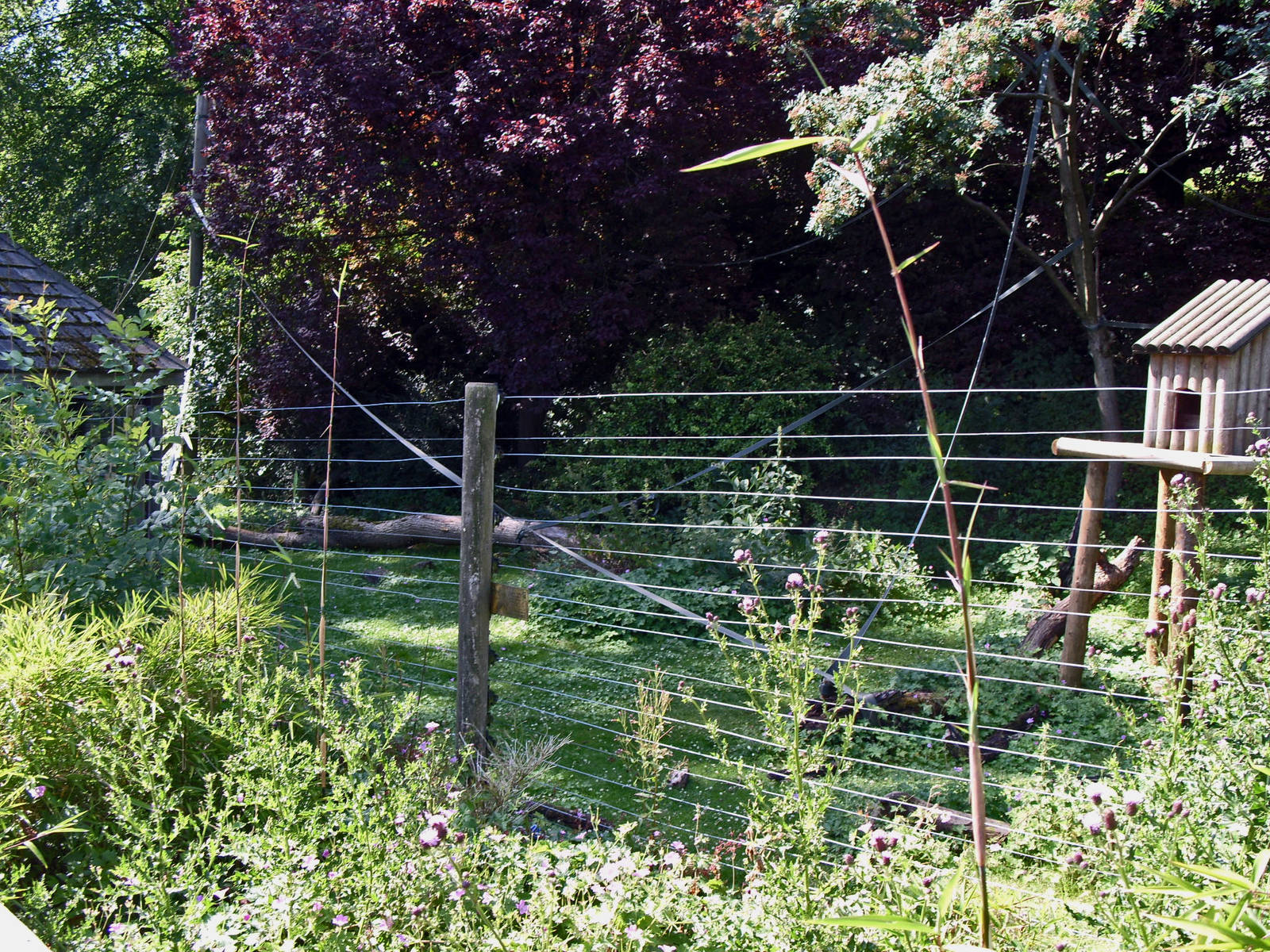 LARS GIBBON ENCLOSURE