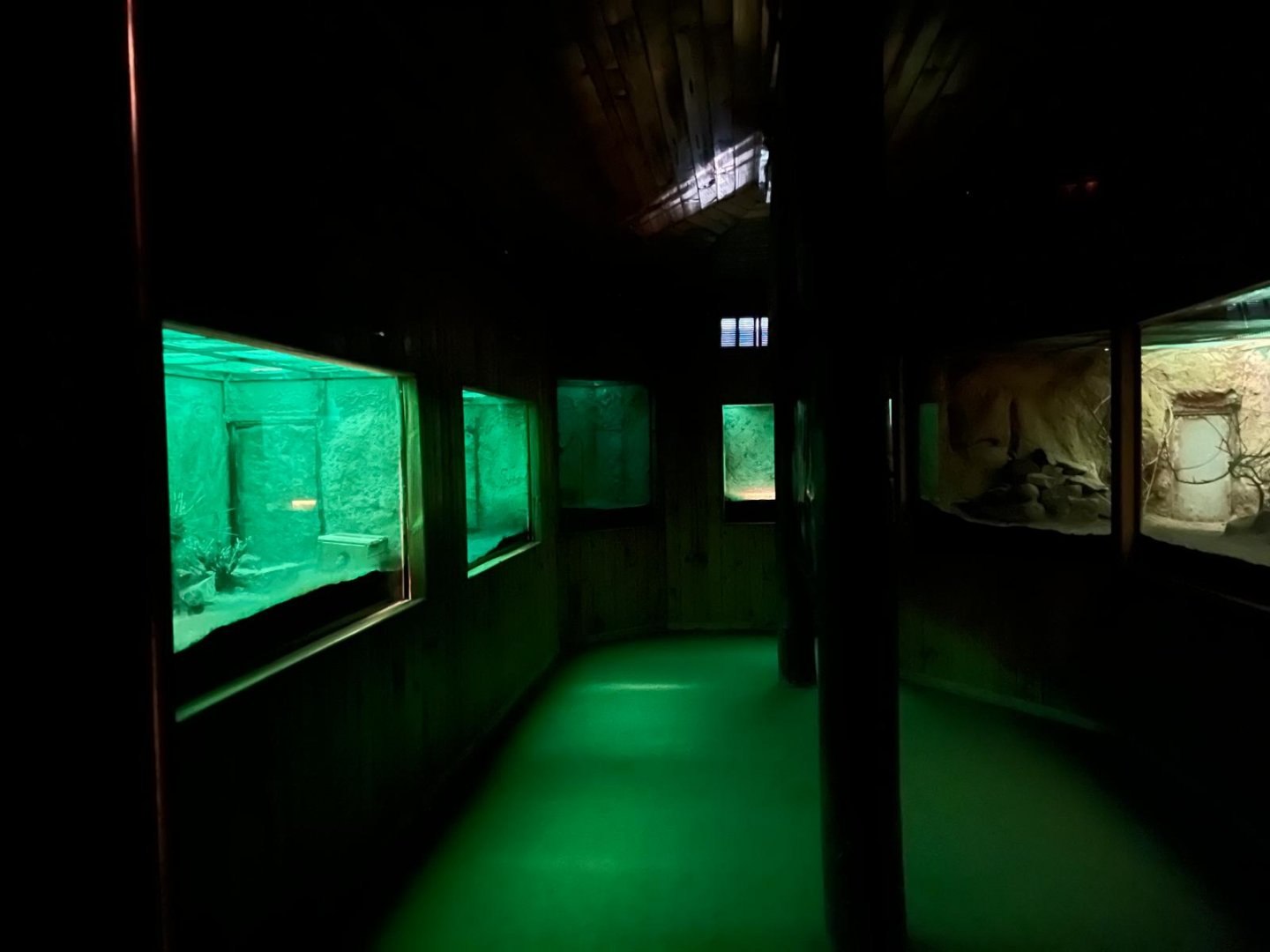 Las Chinchillas National Reserve Nocturama