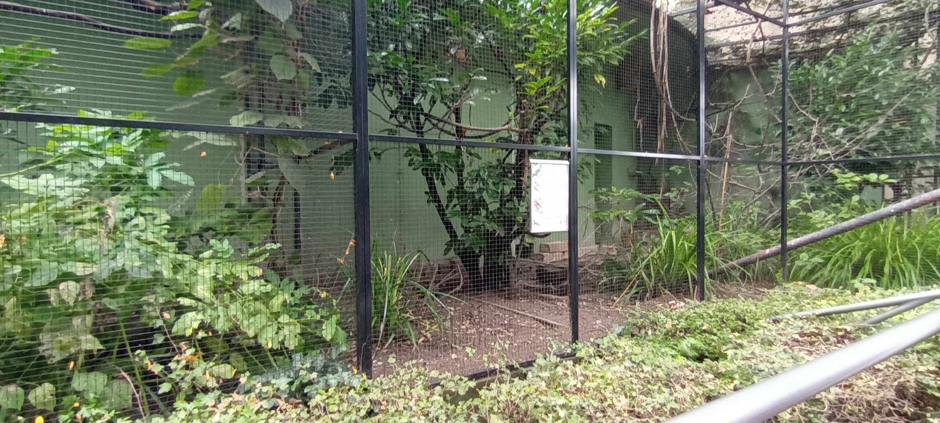 Last Aviary outside the Bird House