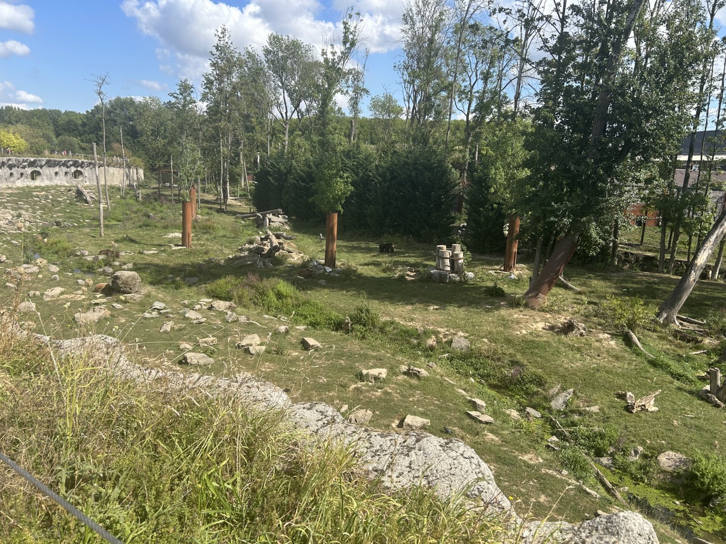 Last Frontier - Brown Bear/Wolf Exhibit