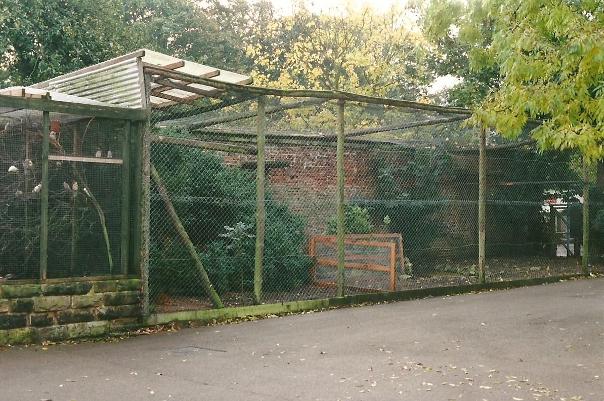 Last surviving 1960s walled garden aviary 23rd October 1999