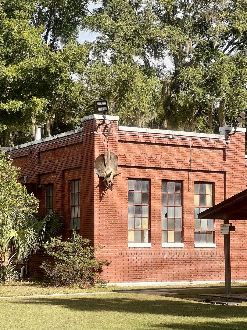 Last Triceratops taken in South Carolina