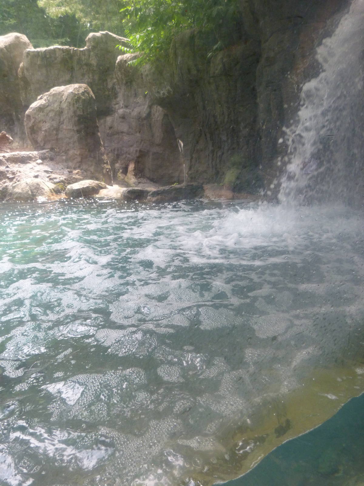 Last View of Otter Exhibit