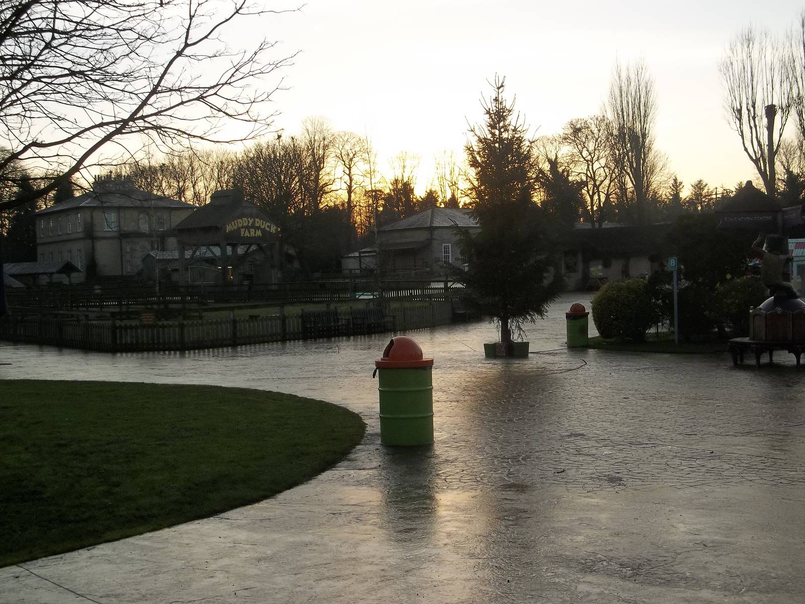 Late afternoon, 30th December 2014