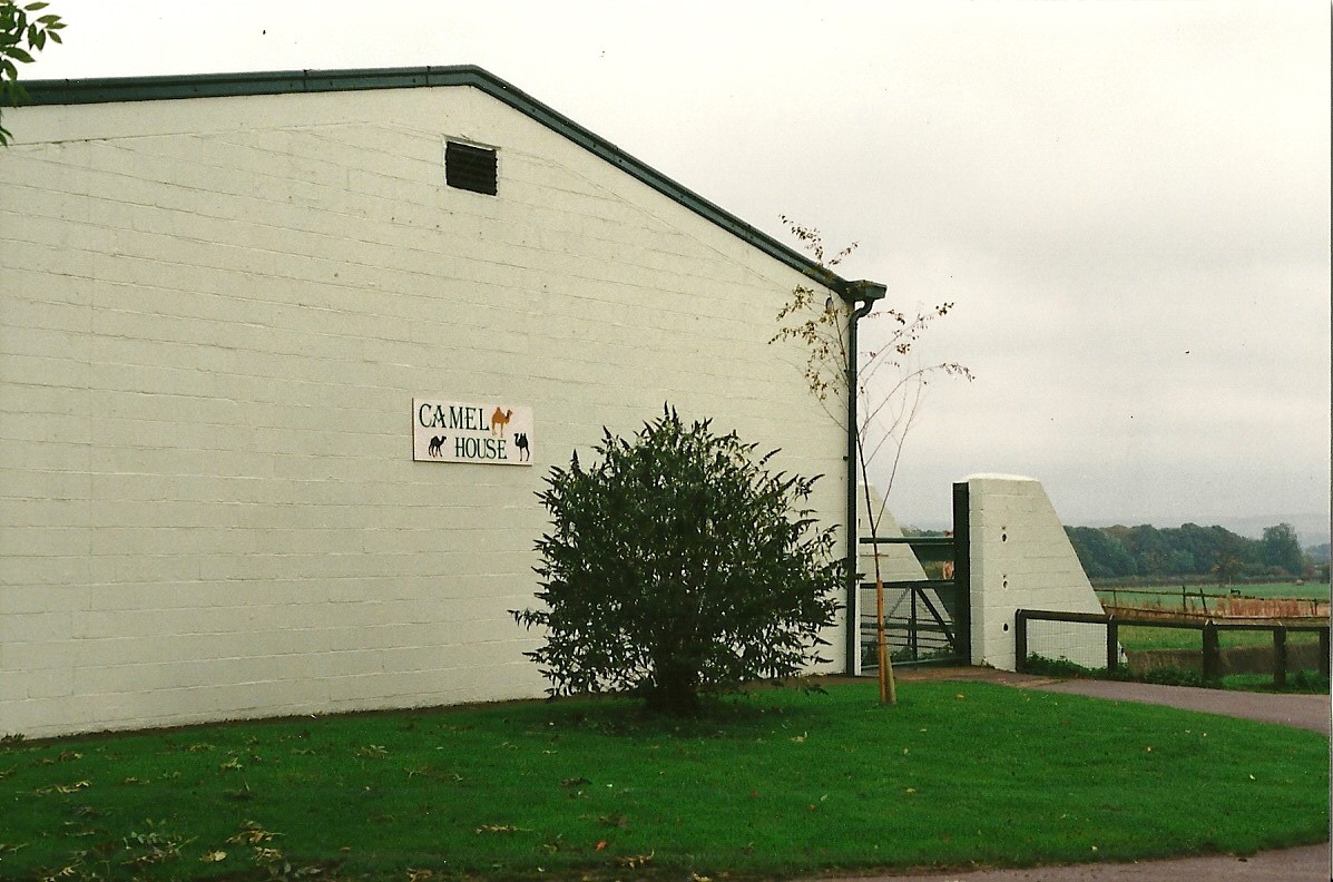 Later 1960s Elephant House 23rd October 1999