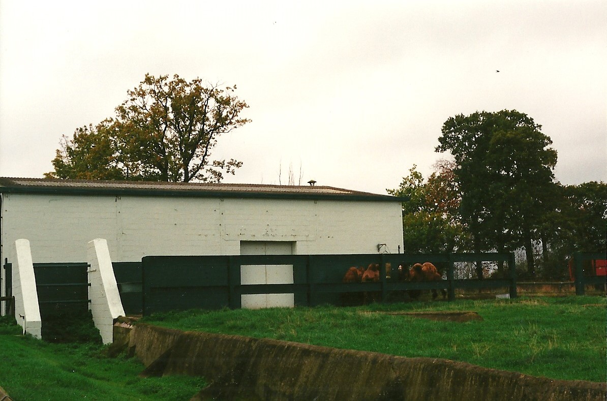 Later 1960s Elephant House and paddock 23rd October 1999