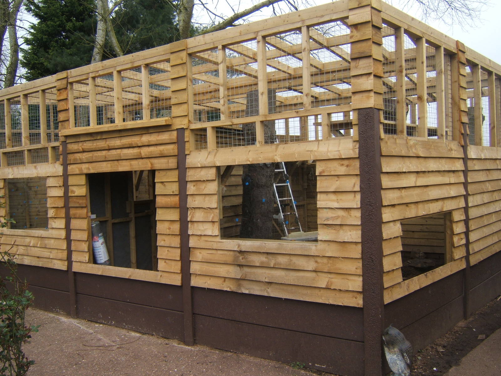 Latest stage of the new Raccoon enclosure