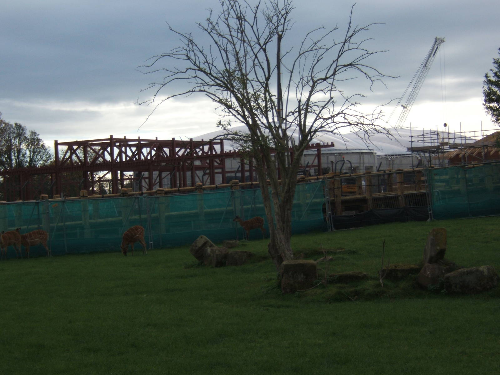 Latest view of Islands