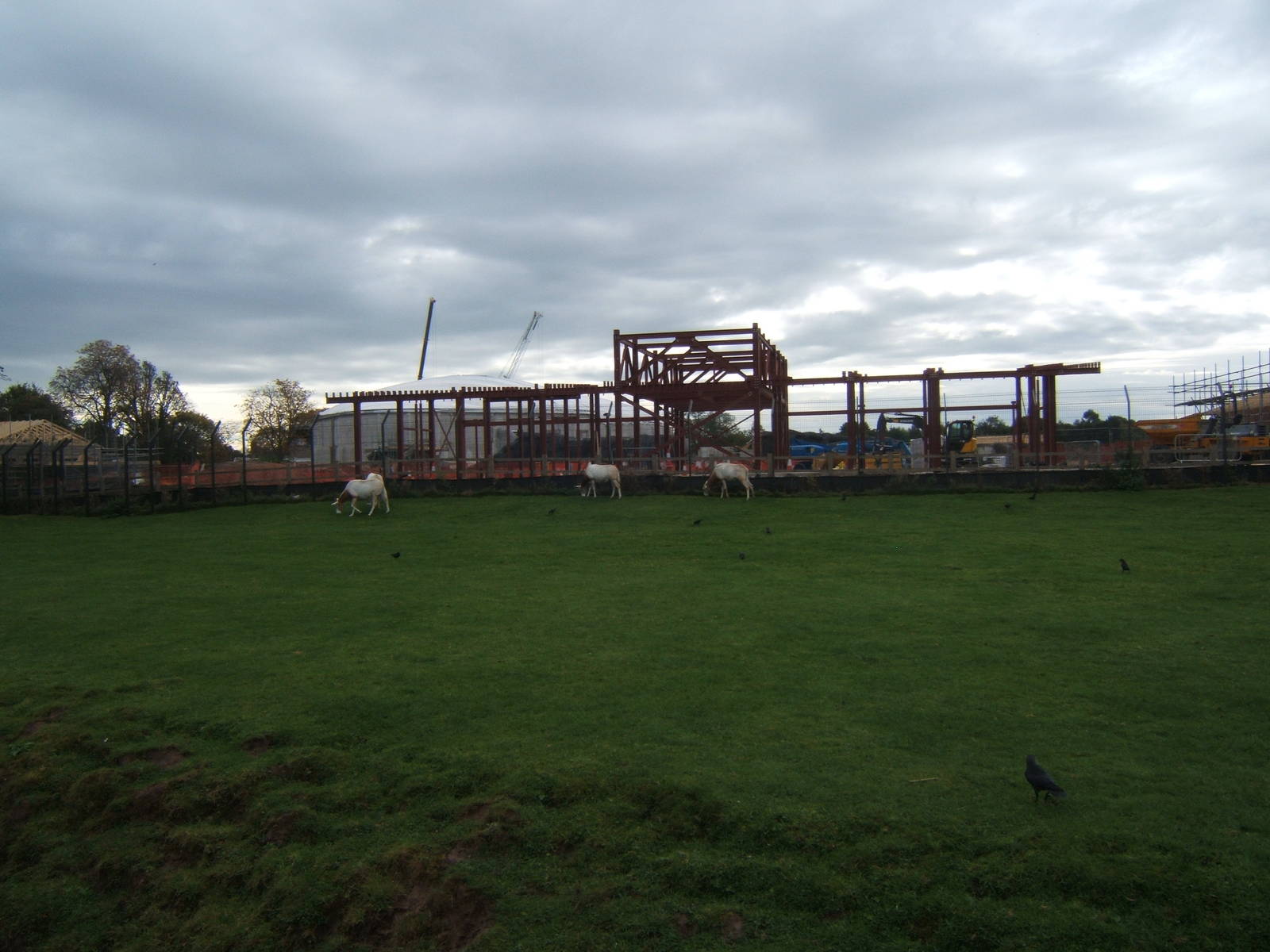 Latest view of Islands