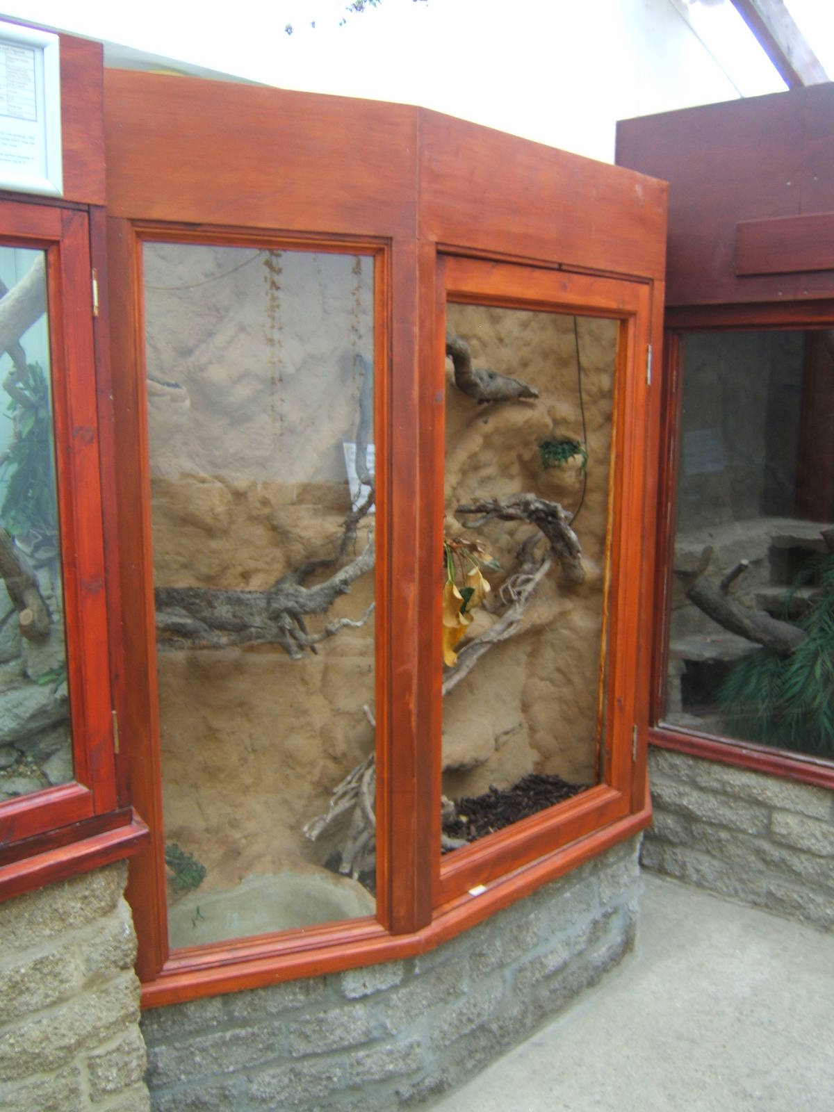 Latest work on the new Royal Python exhibit