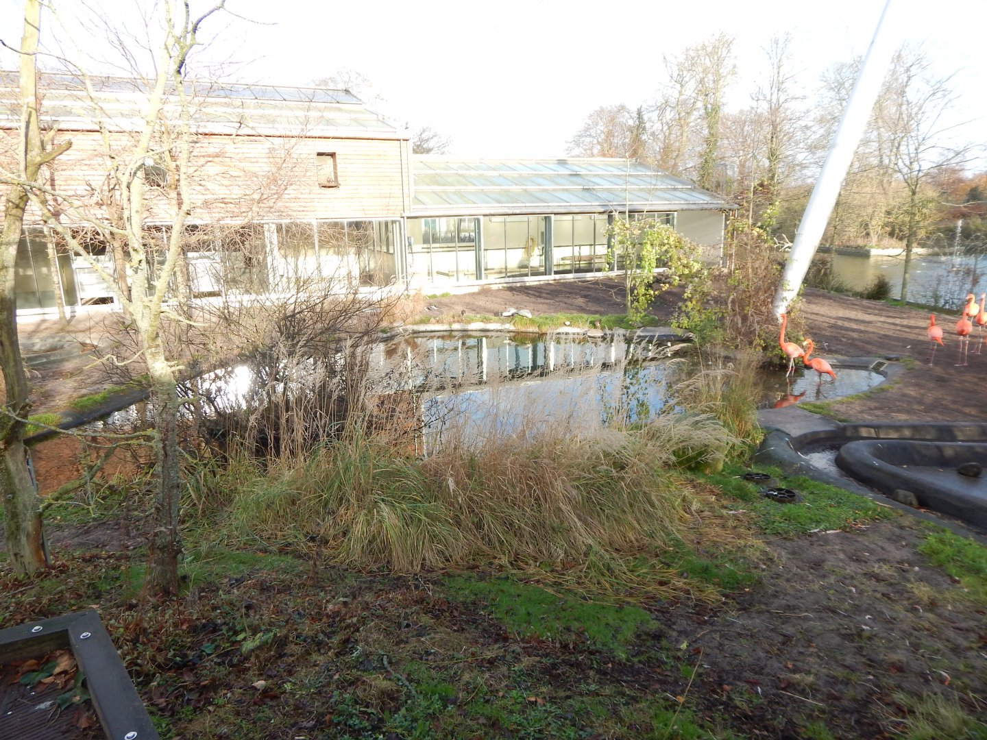 Latin American aviary 261124