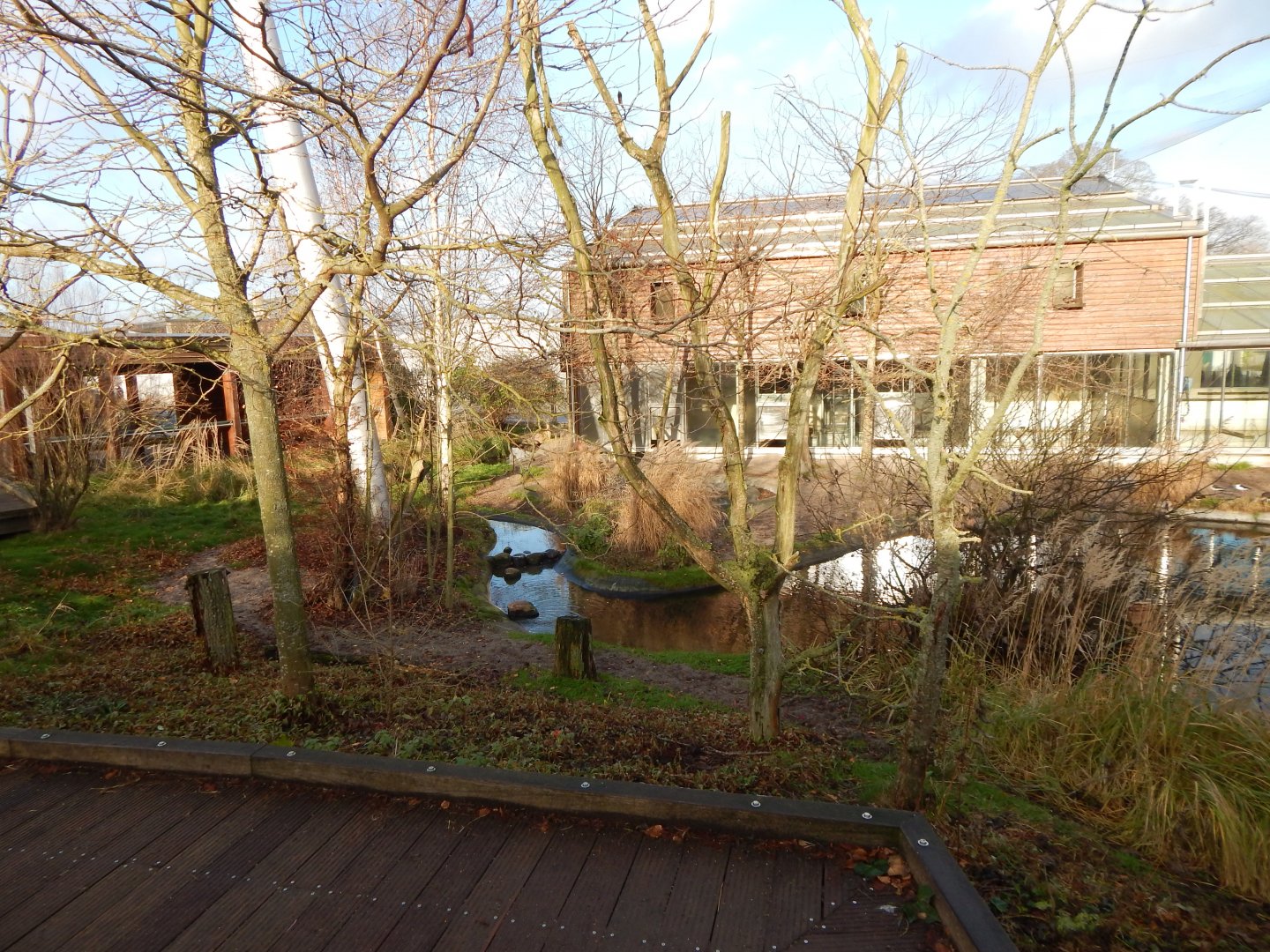 Latin American aviary 261124