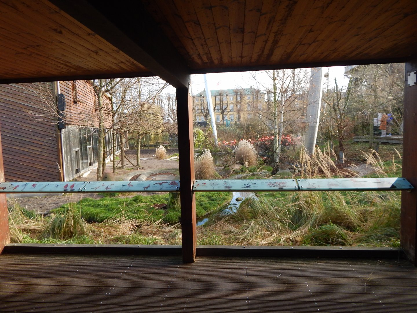 Latin American aviary 261124