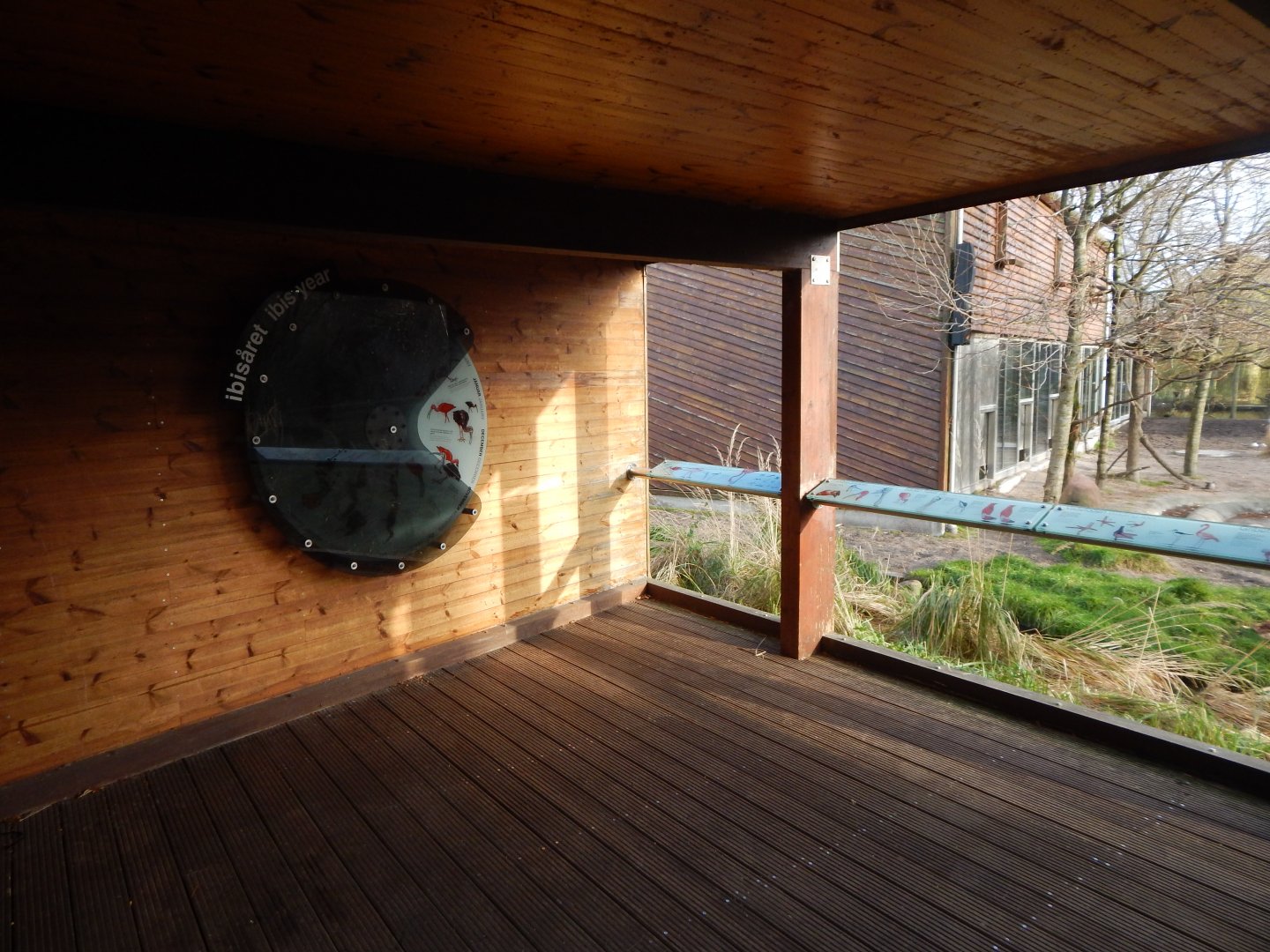 Latin American aviary 261124