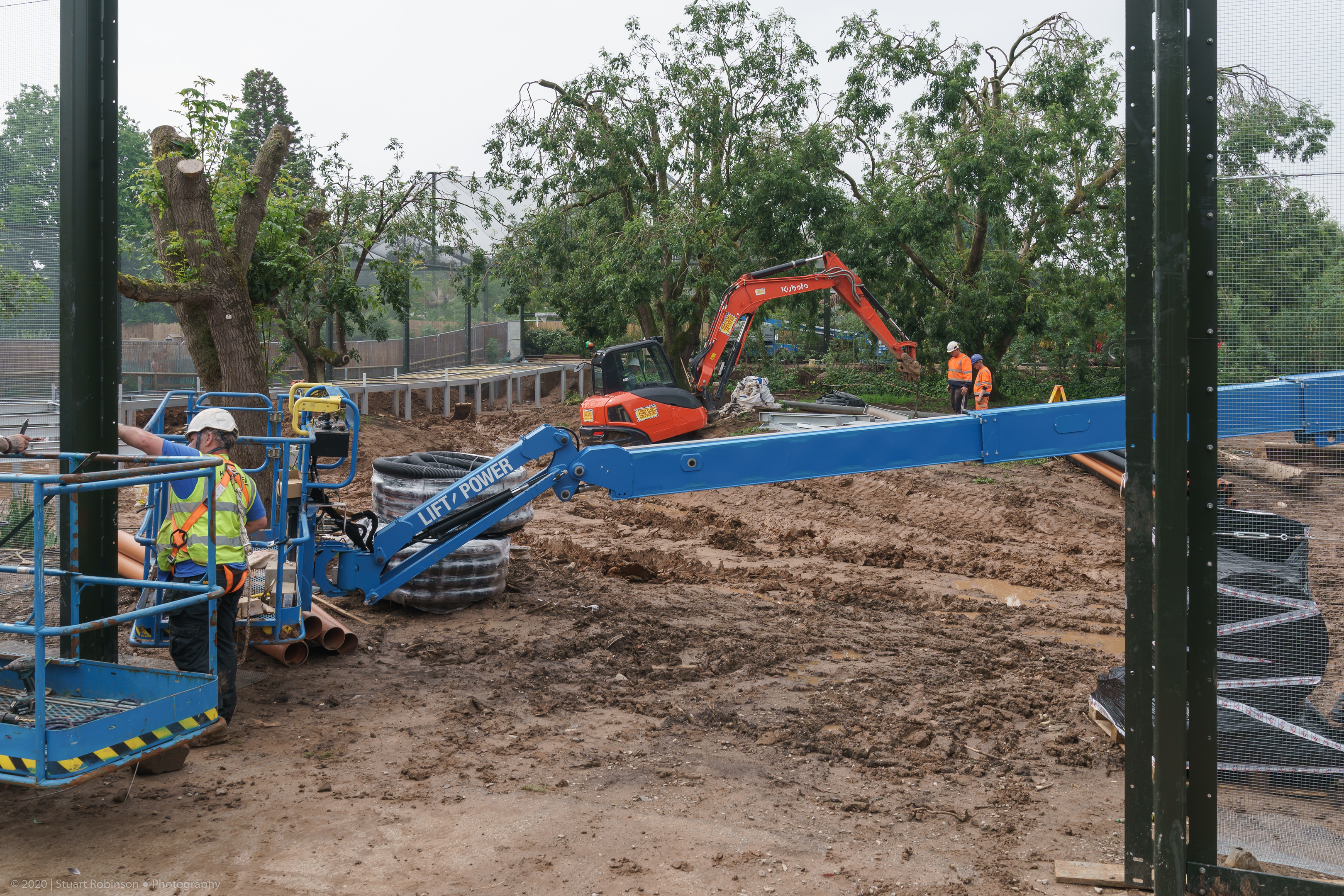 Latin American Aviary Construction - 16/06/2020