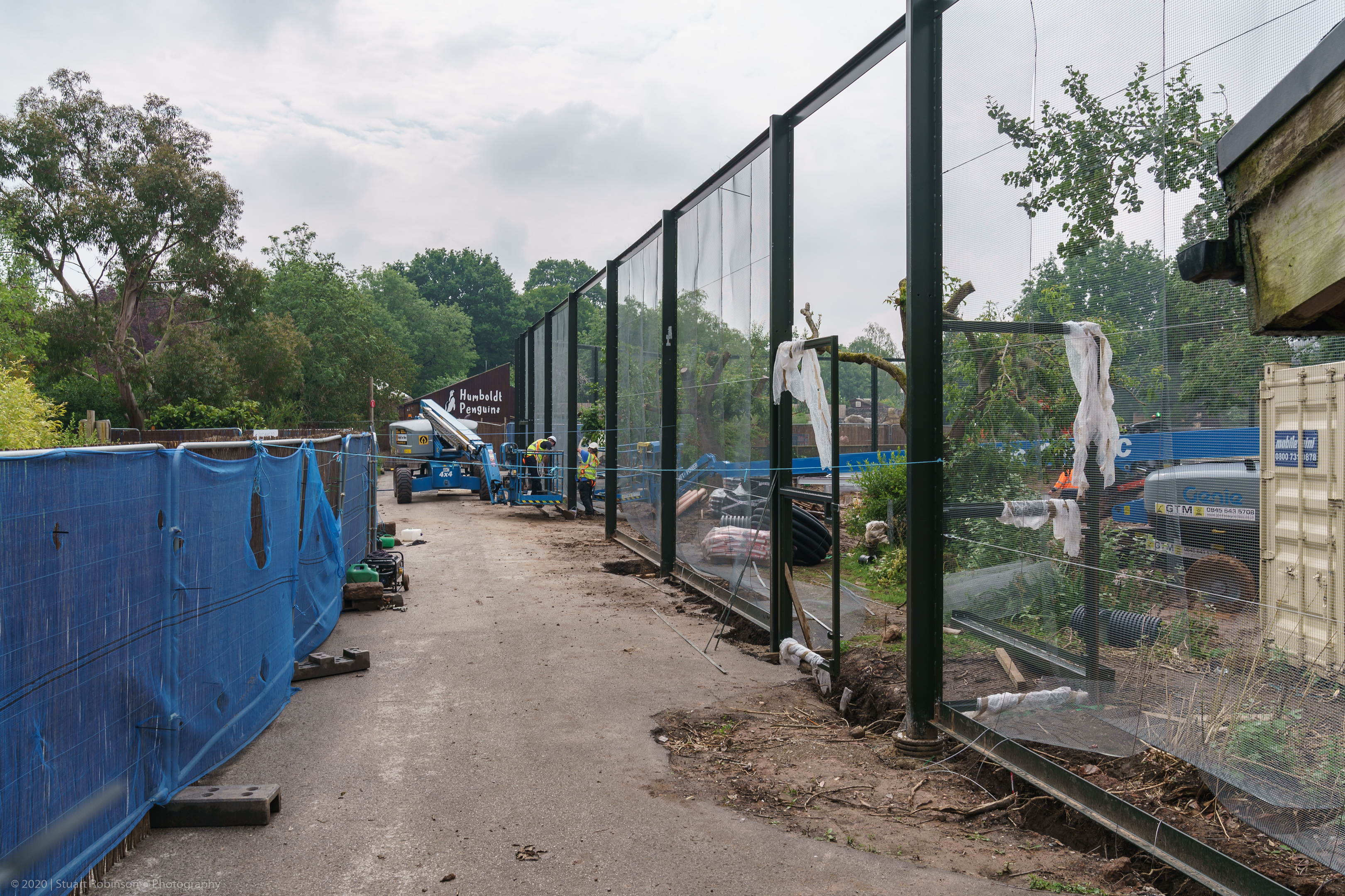 Latin American Aviary Construction - 16/06/2020