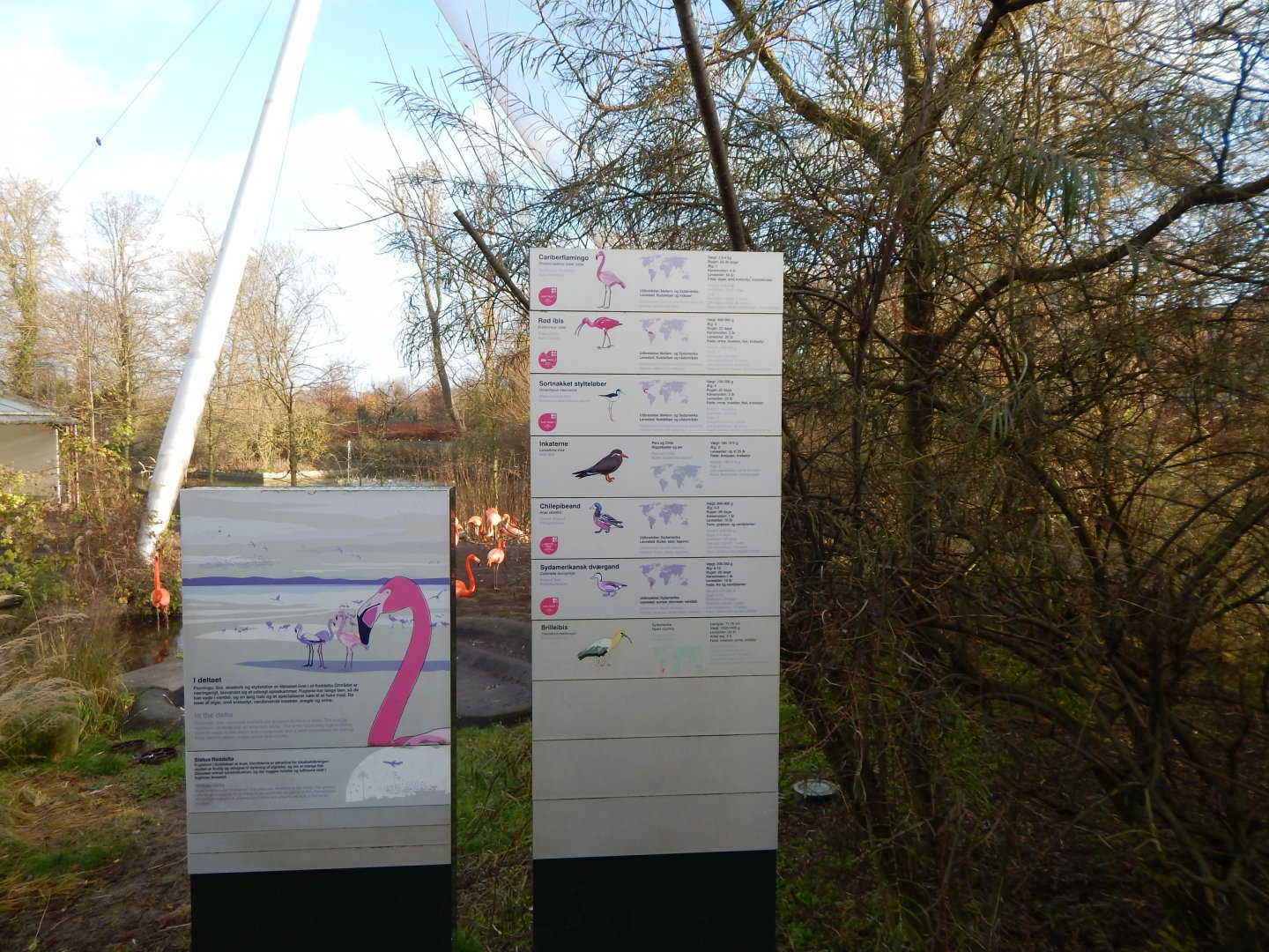 Latin American aviary signage 261124