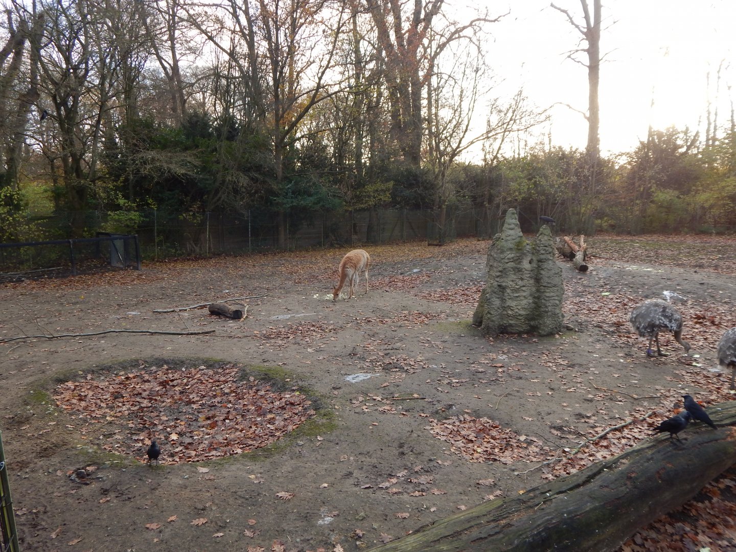 Latin American mixed exhibit 261124