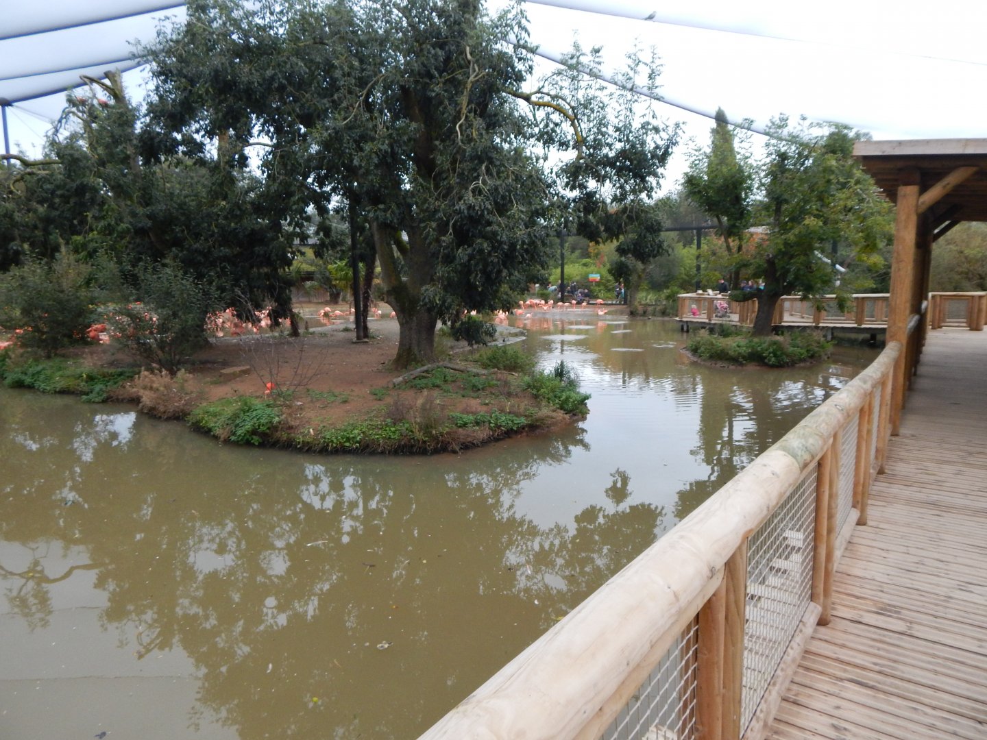 Latin American Wetland Aviary 181021