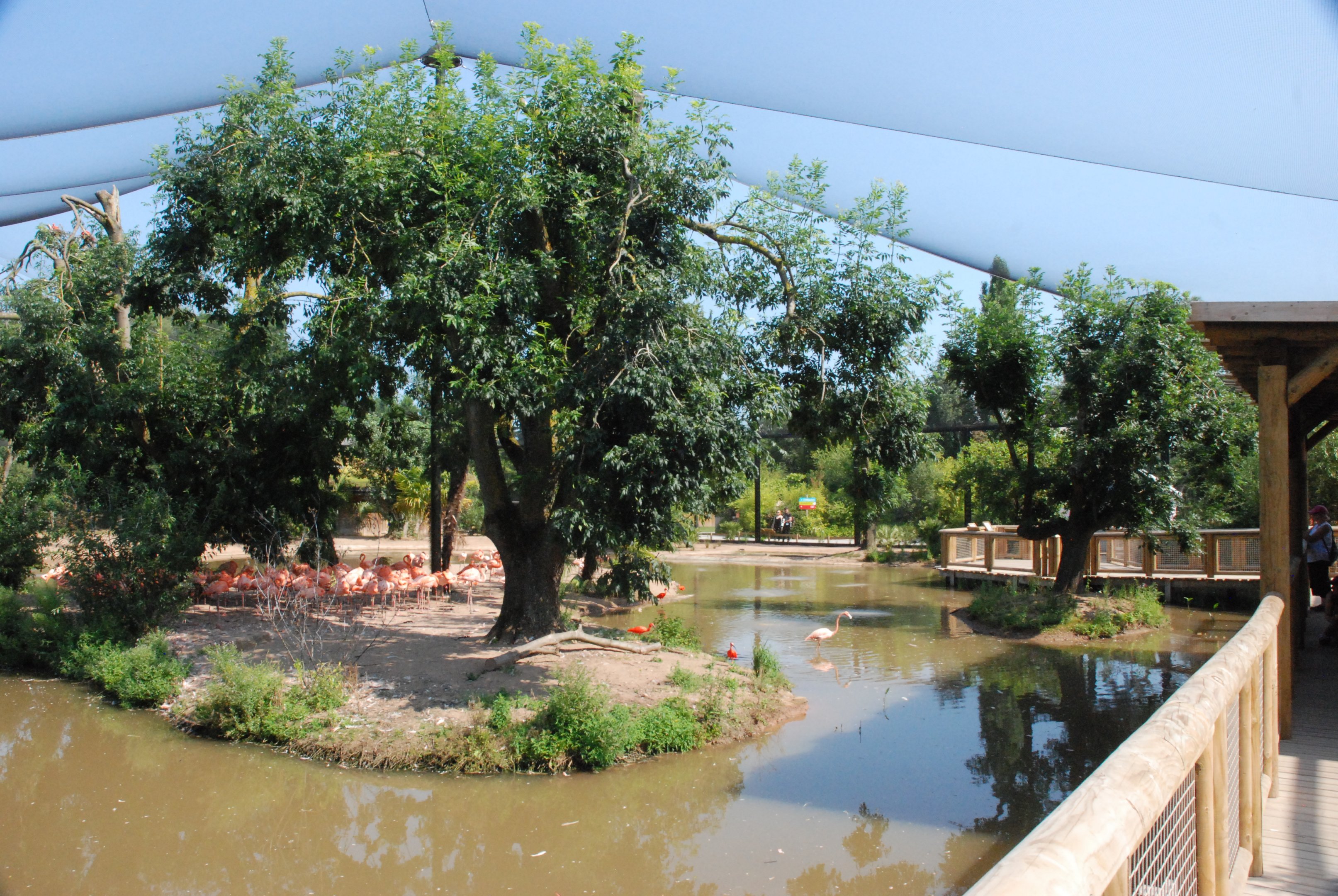 Latin American Wetland Aviary at Chester, 20th July 2021