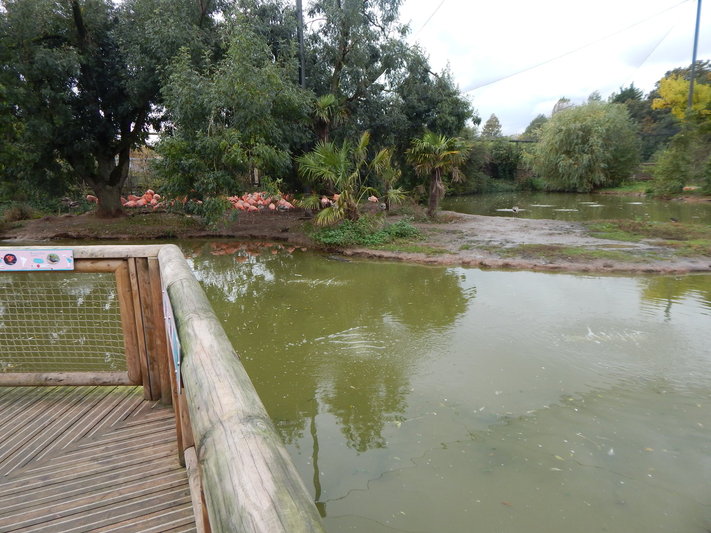 Latin American Wetlands Aviary 221022
