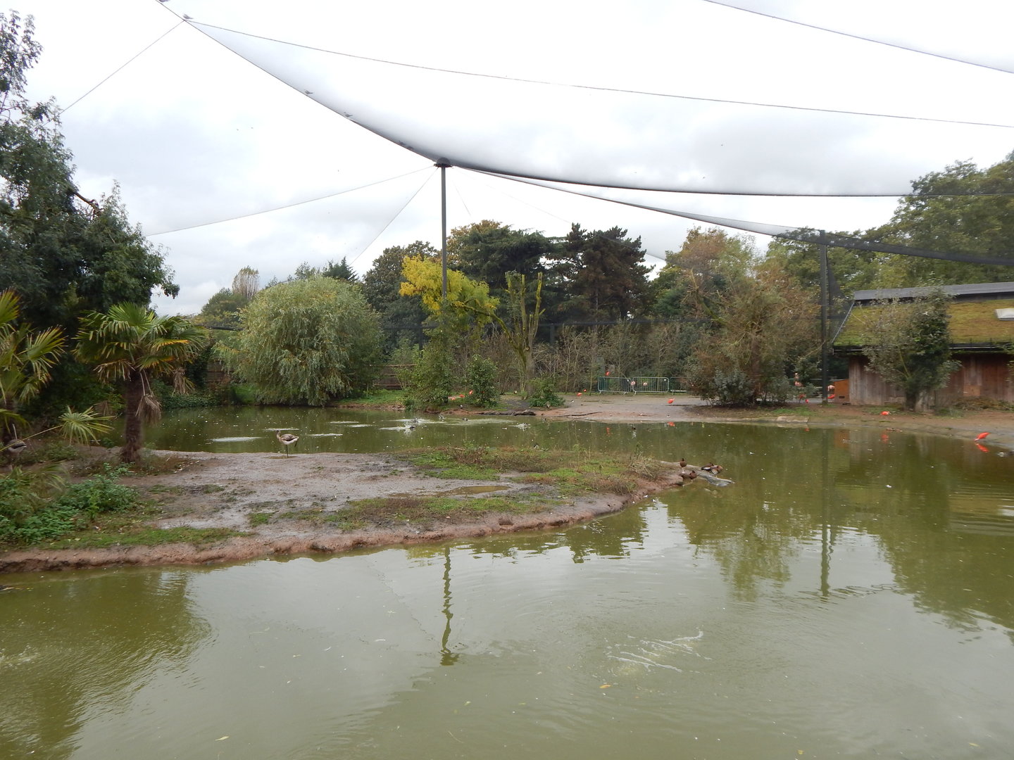 Latin American Wetlands Aviary 221022