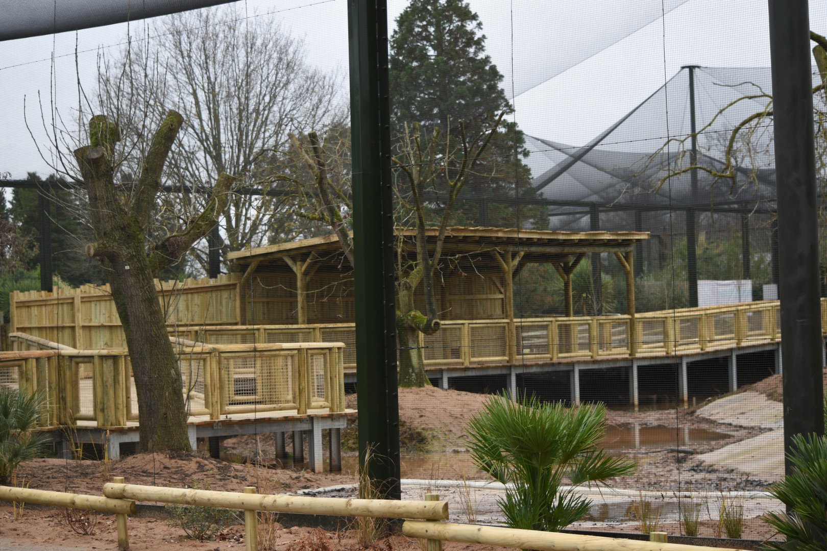 Latin American Wetlands aviary progress