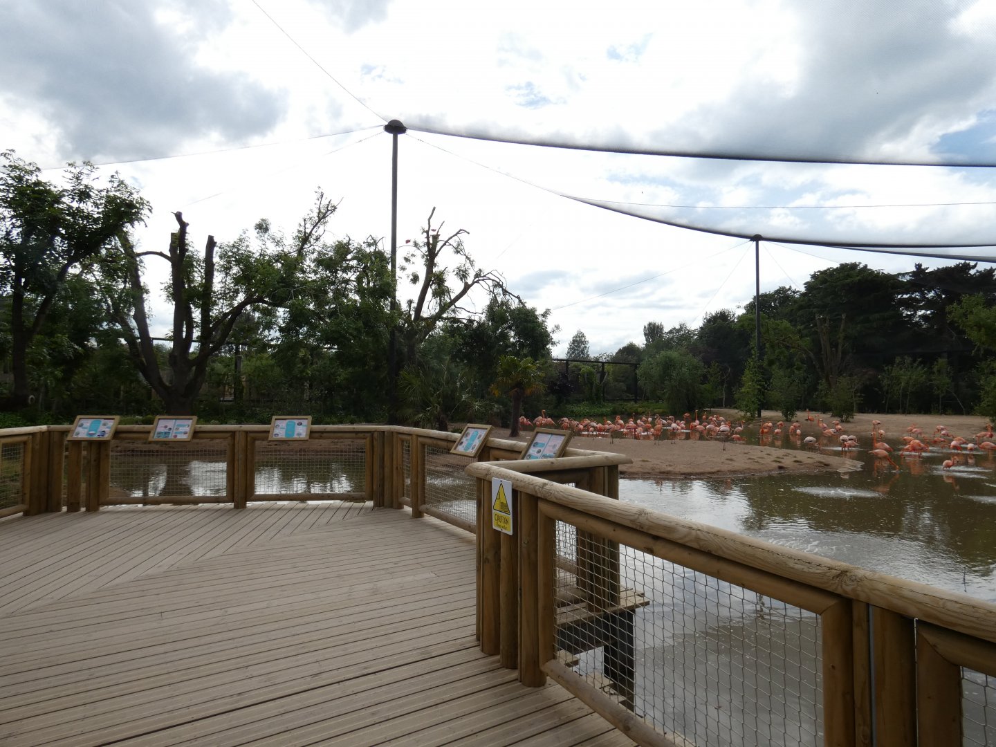 Latin American Wetlands aviary viewing area