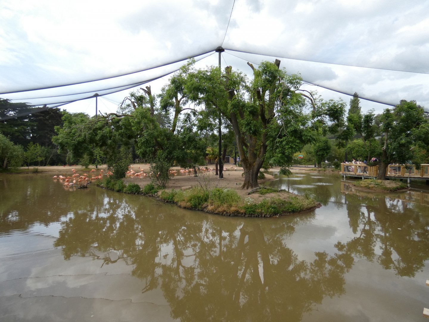 Latin American Wetlands aviary