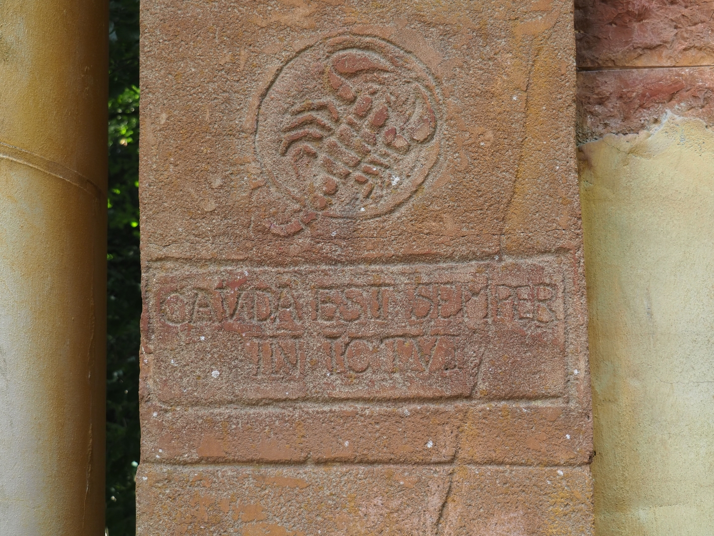 Latin wall inscription on scorpions