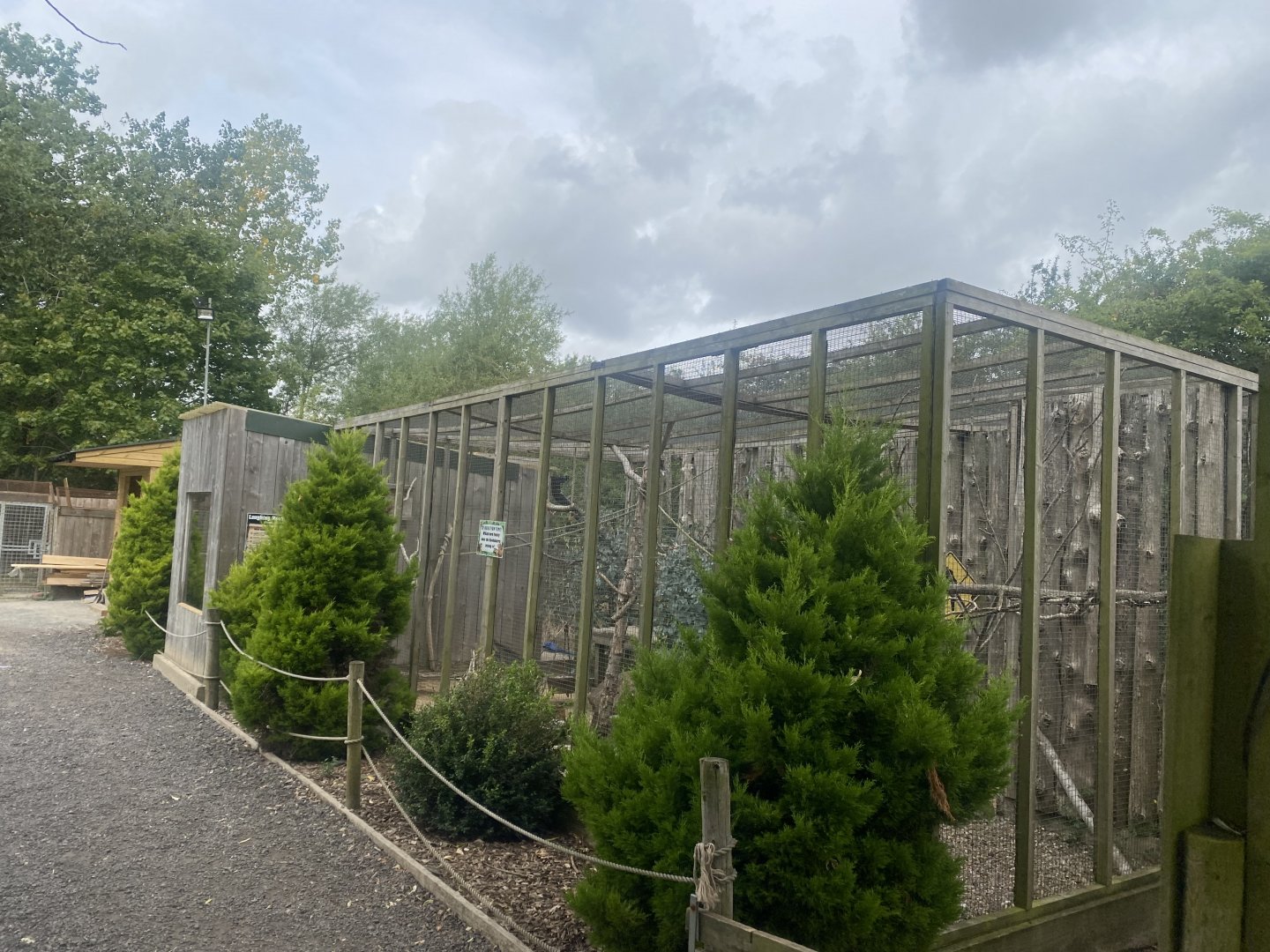 Laughing kookaburra aviary 040824