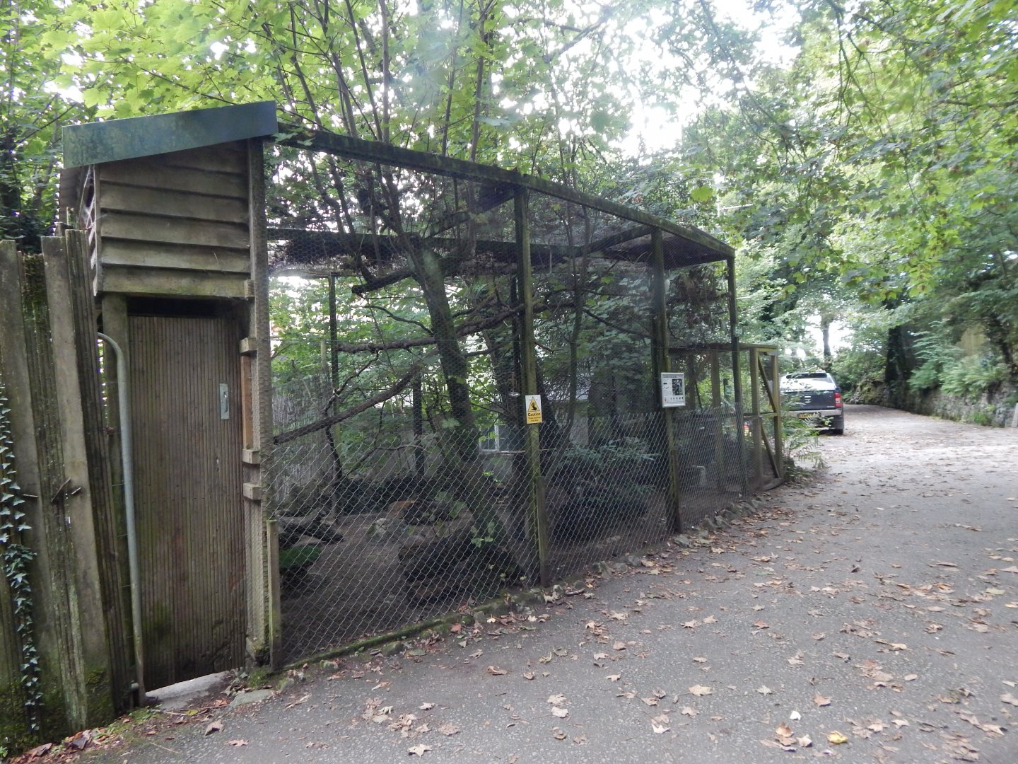 Laughing kookaburra aviary 050925