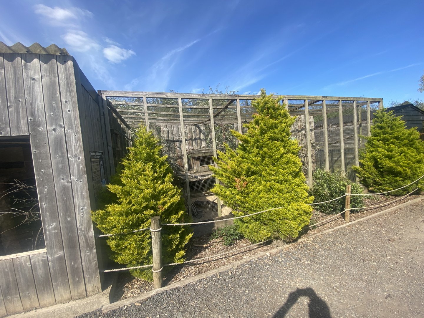 Laughing kookaburra aviary 280425