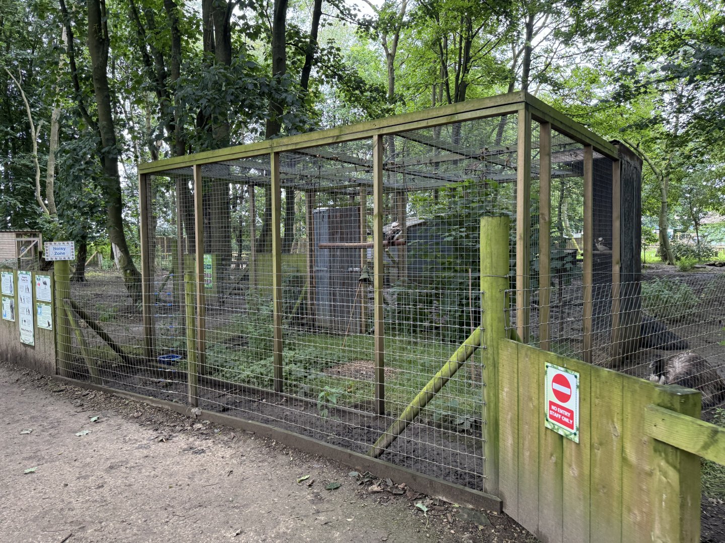 Laughing Kookaburra Aviary at Bridlington Animal Park (July 2024)