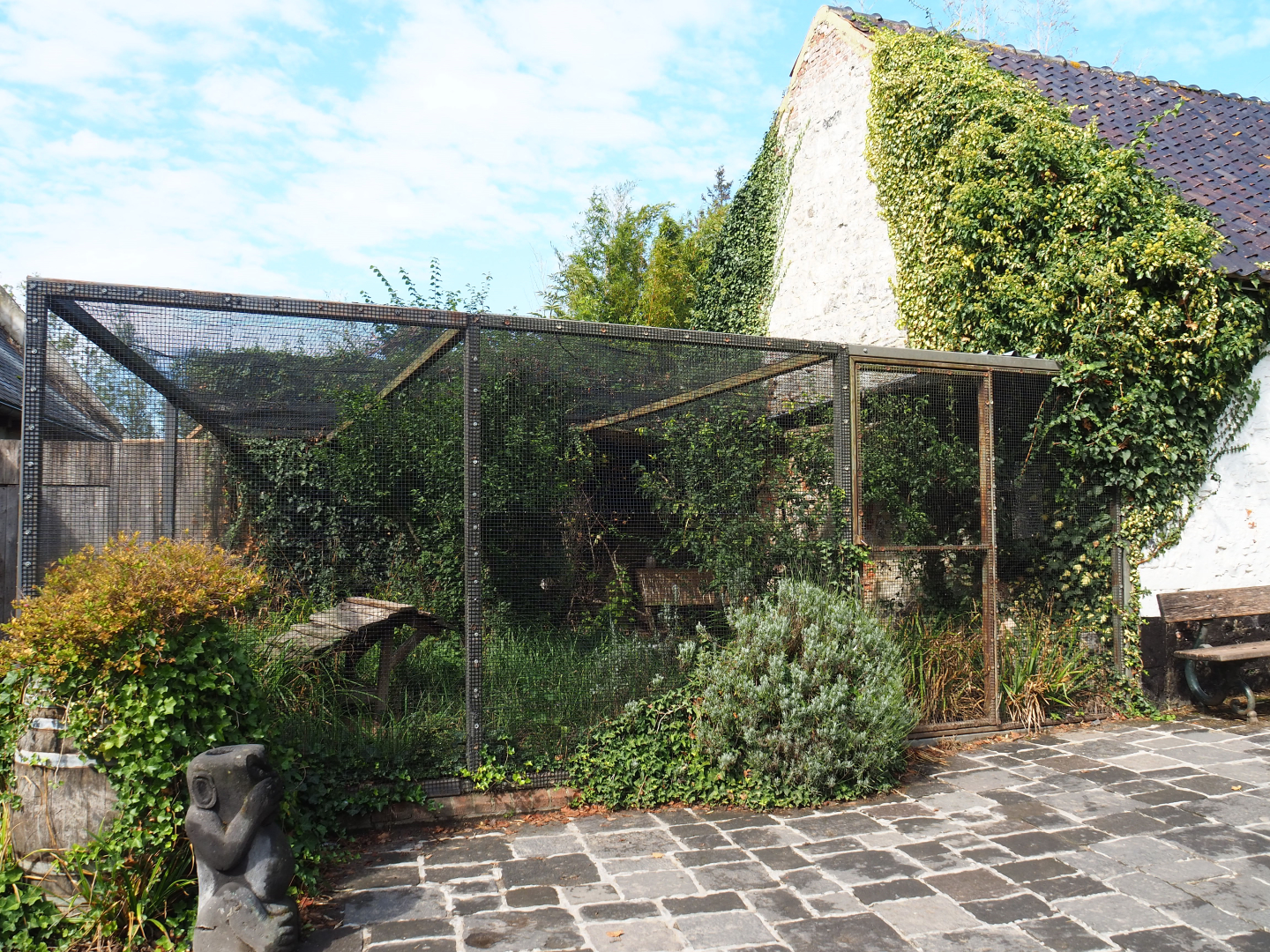 Laughing kookaburra aviary (Former Greater roadrunner aviary), 2022-09-15